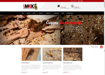Otimização SEO para site de descupinizadora