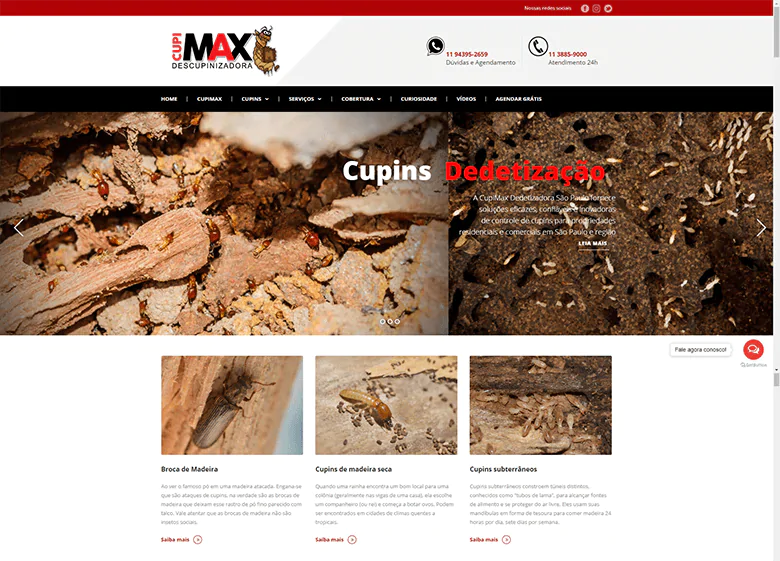 Otimização SEO para site de descupinizadora