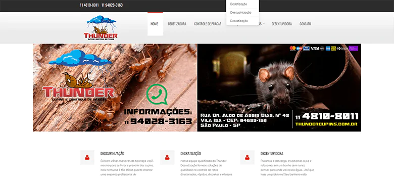 criação de sites em São Paulo