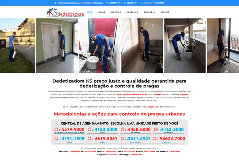 Criação de site para desratizadora responsivo