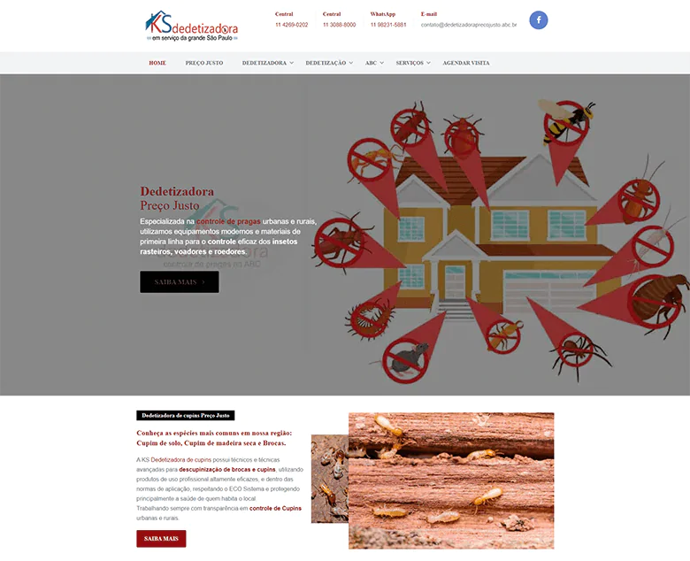 Criação de site para desratizadora responsivo