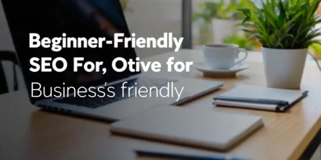 otimização SEO empresas para iniciantes