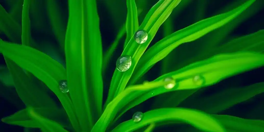 Link juice é a autoridade transferida entre páginas por meio de links.