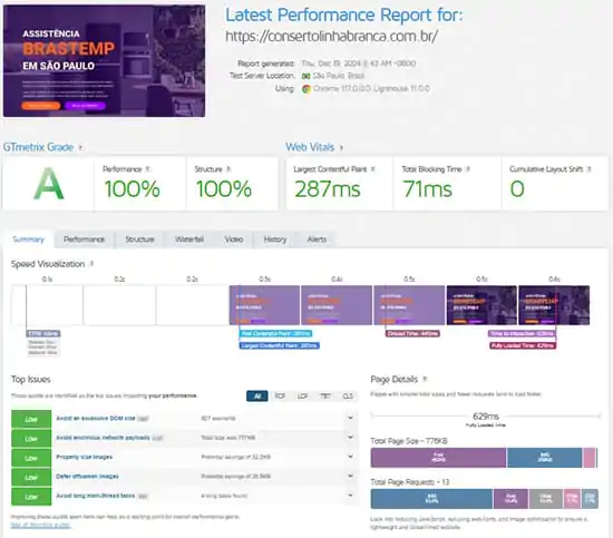 Web Vitals ajustado do site consertolinhabranca-com-br