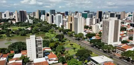 Otimização de sites em São Paulo com estratégia de SEO local realizada pela Agência Doutor Octopus